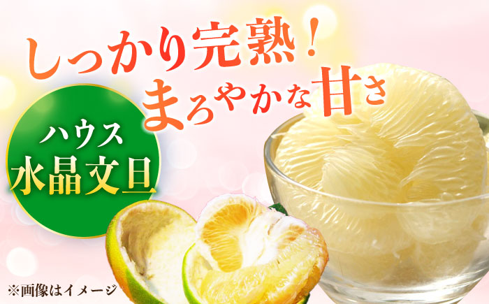 南国土佐の女王柑橘 水晶文旦 約5kg 7玉入り〈2025年9月中旬～2025年12月下旬頃発送〉/ 大玉サイズ ぶんたん 文旦 フルーツ 高知名物 果物 【フルーツショップオザキ】 [ATAH010]