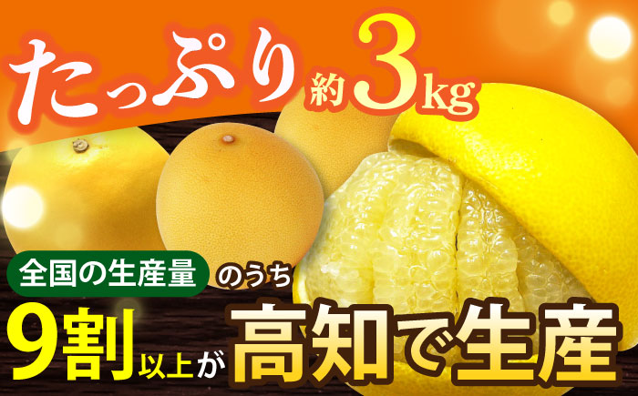 【先行予約】南国高知温室 土佐文旦 約3kg 7玉〈2025年11月中旬～2026年2月中旬頃発送〉/ 文旦 ぶんたん フルーツ 果物 3キロ 高知県 【フルーツショップオザキ】[ATAH011]