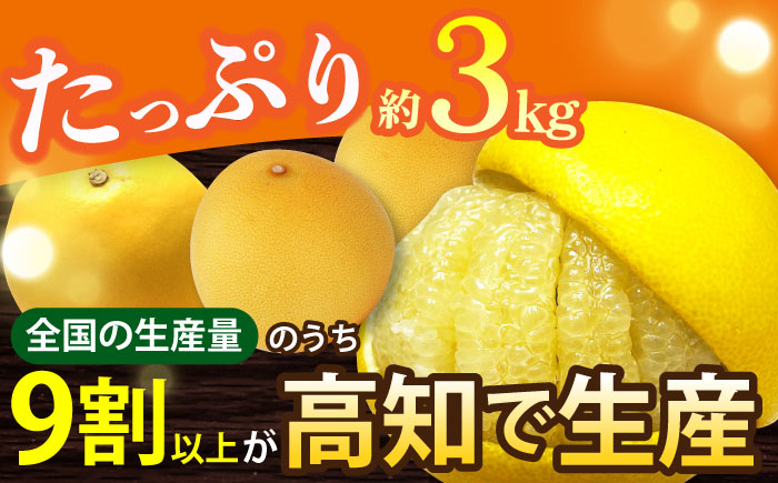 【先行予約】南国高知温室土佐文旦 約3kg 6玉〈2025年11月中旬～2026年2月中旬頃発送〉/ 文旦 ぶんたん フルーツ 果物 3キロ 高知県 【フルーツショップオザキ】[ATAH012]