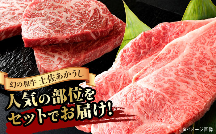 土佐あかうし 満喫セット　サーロイン・もも・うで・リブロース 各300g 計1.2kg / 国産 高知 和牛 牛肉 にく 肉 和牛 ステーキ　【株式会社Dorago】 [ATAM044]