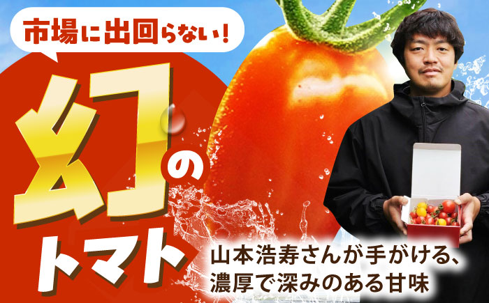 【先行予約】 徳谷はじまりトマトのミニトマト 約1kg ミックス〈2026年3月～発送〉 /ミニ プチ トマト 高糖度 高知トマト 【株式会社Dorago】 [ATAM051]