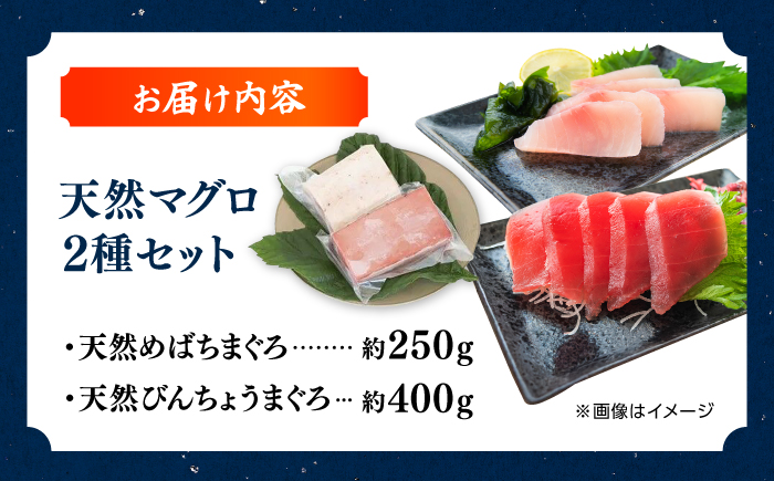 厳選 天然 マグロ 2種セット（計約650g） / 高知 魚介 海鮮 鮮魚 魚 マグロ まぐろ 鮪 新鮮 天然 刺身 寿司 セット 【株式会社Dorago】 [ATAM054]