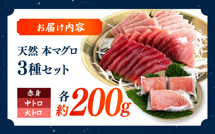 天然本鮪 大トロ 中トロ 赤身 セット（各約200g） / 高知 魚介 海鮮 鮮魚 魚 マグロ まぐろ 鮪 本鮪 新鮮 天然 刺身 寿司 セット 【株式会社Dorago】 [ATAM055]