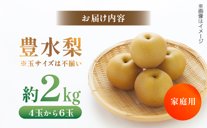 【先行予約】 川渕果樹園 豊水梨 約2kg 家庭用 〈2025年10月～発送〉 / 梨 なし ナシ 豊水 果物 フルーツ デザート 夏 秋 ヘルシー 健康 水分補給 【株式会社Dorago】 [ATAM056]