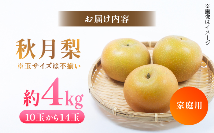 【先行予約】 川渕果樹園 秋月梨 約4kg 家庭用 〈2025年10月～発送〉 / 梨 なし ナシ  果物 フルーツ デザート 秋 甘い ジューシー 【株式会社Dorago】 [ATAM059]
