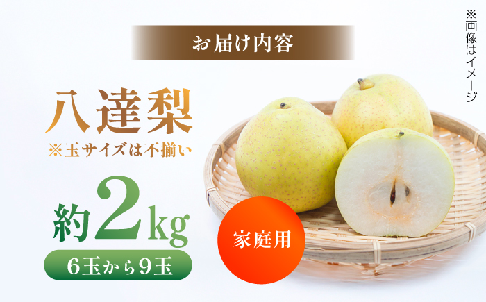 【先行予約】 川渕果樹園 八達梨 約2kg 家庭用 〈2025年10月～発送〉 / 梨 なし ナシ 果物 フルーツ デザート 秋 甘い ジューシー 【株式会社Dorago】 [ATAM060]