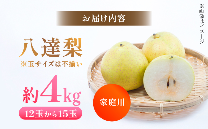 【先行予約】 川渕果樹園 八達梨 約4kg 家庭用 〈2025年10月～発送〉 / 梨 なし ナシ 果物 フルーツ デザート 秋 甘い ジューシー 【株式会社Dorago】 [ATAM061]
