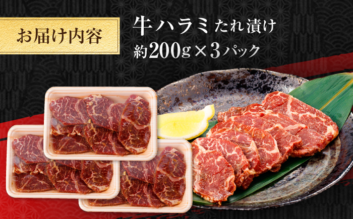 牛ハラミ　たれ漬け 約200g×3 総計約600g / 訳あり 数量限定 小分け 柔らかい！！ 【(有)山重食肉】 [ATAP143]