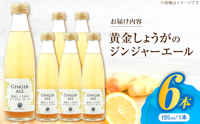 黄金しょうがのジンジャーエール6本/ 土佐生姜 スパークリング ジンジャーエール 爽やか【はるのTERRACE】 [ATAV001]