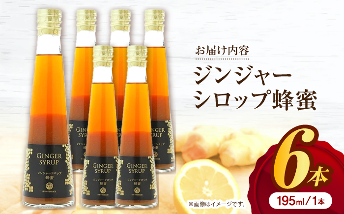 ジンジャーシロップ蜂蜜 6本 / 土佐生姜 ほっこりジンジャー【はるのTERRACE】 [ATAV007]