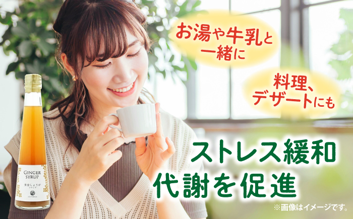 黄金しょうがシロップ6本/ 土佐生姜 ほっこりジンジャー【はるのTERRACE】 [ATAV008]
