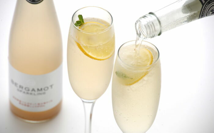 土佐ベルガモットのスパークリング 500ml×12本セット/ 土佐生姜 ベルガモット スパークリング ジンジャーエール 爽やか 飲料 ドリンク 【はるのTERRACE】 [ATAV014]