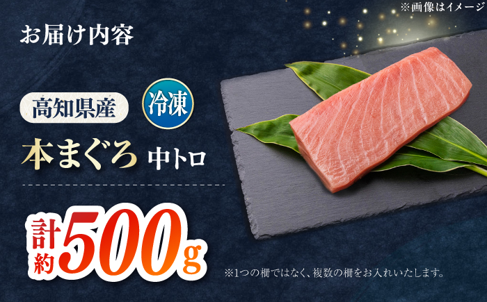 本まぐろ 中トロ 約500g 【株式会社 七和】 / まぐろ 鮪 トロ 中トロ 刺身 さしみ まぐろトロ 本鮪 冷凍 海鮮 魚介 魚 柵 高級 高知県 高知市 養殖 [ATAX028]