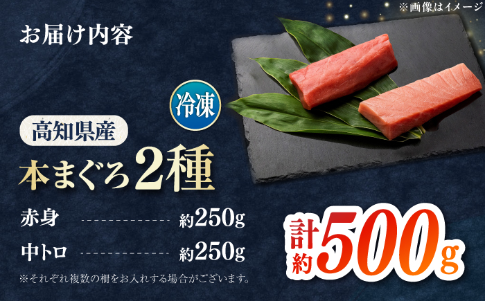 本まぐろ 中トロ 赤身 各約250g 合計約500g 【株式会社 七和】 / まぐろ 鮪 赤身 あかみ トロ 中トロ 刺身 さしみ まぐろトロ まぐろ赤身 高級 セット 本鮪 冷凍 海鮮 魚介 魚 柵 高知県 高知市 養殖 [ATAX029]