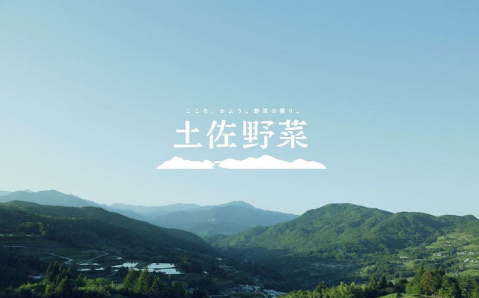 【全6回定期便】土佐の太陽をいっぱいに浴びた旬の野菜セット「大」 (6回配送)【土佐野菜】 [ATBA009]