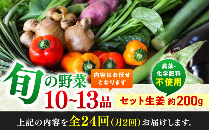 【24回定期便・月2回配送】 土佐の太陽をいっぱいに浴びた旬の野菜10～13品目と生姜約200gのセット / 高知 土佐 旬 野菜 生姜 詰め合わせ セット 仕送り 【土佐野菜】 [ATBA017]