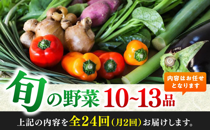 【24回定期便・月2回配送】 土佐の太陽をいっぱいに浴びた旬の野菜セット「大」10～13品目 / 高知 土佐 旬 野菜 詰め合わせ セット 仕送り 【土佐野菜】 [ATBA018]