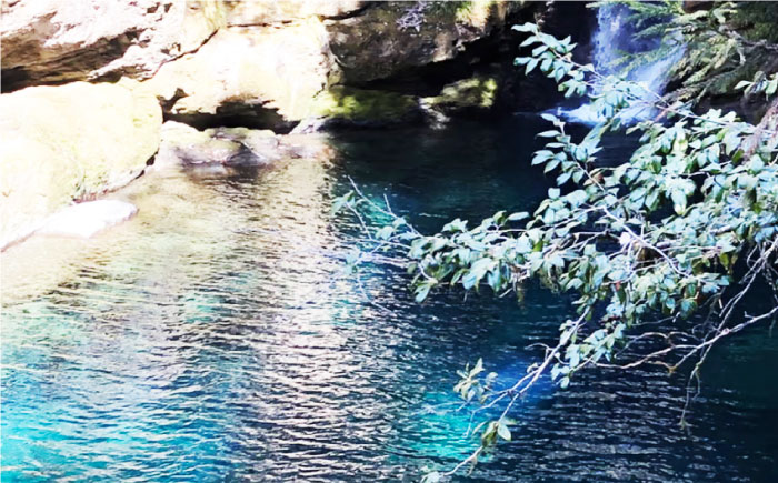 奇跡の清流「仁淀川」の伏流水で育てた高知県産「うなぎ蒲焼」2尾セット 【株式会社海訪屋】 [ATBC001]