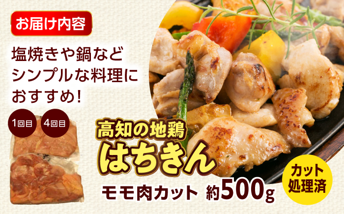 【6回定期便】高知の肉定期便〈はちきん地鶏・土佐あかうし・ハンバーグ〉少量セット【合同会社土佐あぐりーど】 [ATBO033]