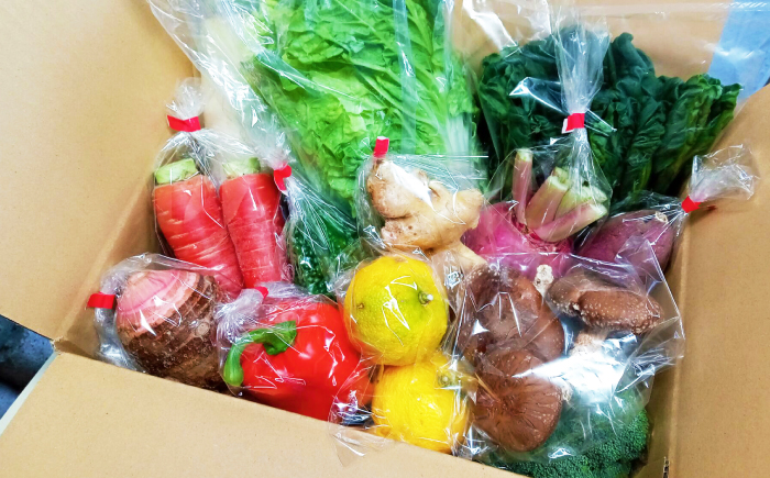 【12回定期便】高知県産 土佐季節の野菜詰め合せセット/毎月 野菜 定期 お野菜 高知 やさい 季節もの【香稜苑】 [ATBQ012]