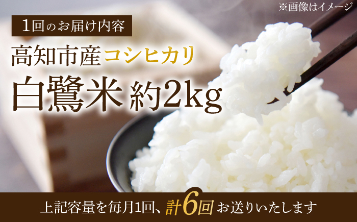 【6回定期便】 新米 R7年度産 特別栽培米 農薬節減！ 白鷺米 コシヒカリ 各約2kg 合計約12kg / 高知 米 お米 精米 　【津ノ宮農園】[ATBV011]