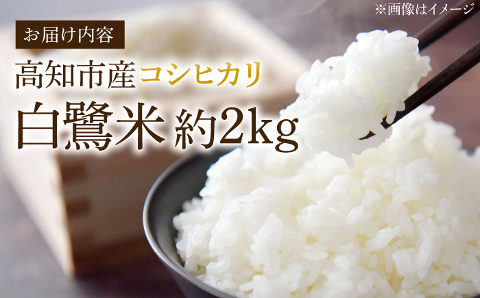 農薬節減！ R7年度産 特別栽培米 白鷺米 コシヒカリ 約2kg ＜2025年9月中旬～発送＞ / 高知 米 お米 精米 　【津ノ宮農園】[ATBV018]