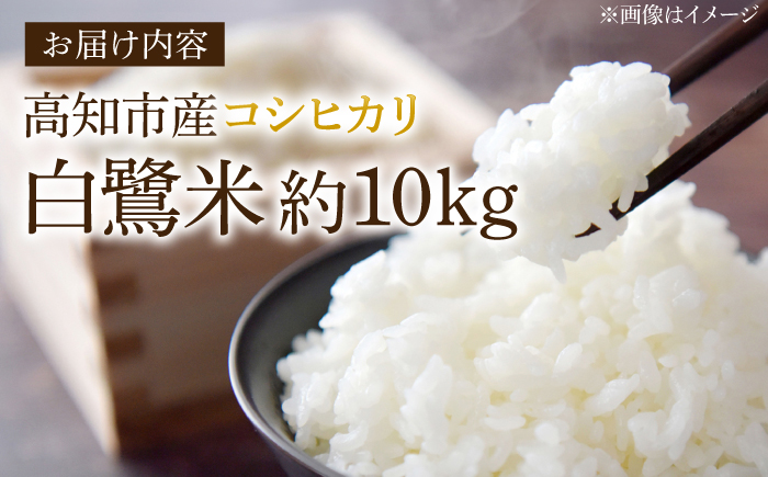 農薬節減！ R7年度産 特別栽培米 白鷺米 コシヒカリ 約10kg ＜2025年9月中旬～発送＞ / 高知 米 お米 精米　【津ノ宮農園】[ATBV020]