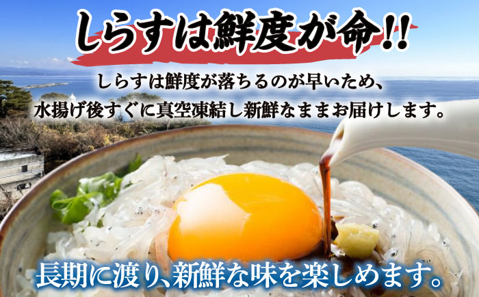 高知産「生シラス」イワシ稚魚約100g×5パック入り (タレ付)【興洋フリーズ株式会社】 [ATBX003]