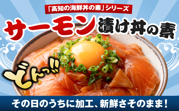 高知の海鮮丼の素「サーモンの漬け」約80g×5パック 【興洋フリーズ株式会社】 [ATBX087]