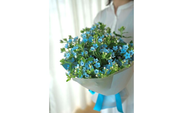 【定期便】ブルースター花束初回花瓶付き 6ヶ月定期便 / ブルースター お花 フラワー 青い花 高知県産 定期便 希少品種 サムシングブルー リビング インテリア 切り花 花瓶付き 癒やし ギフト【株式会社tomoni】 [ATCG048]