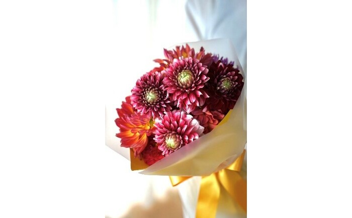 【定期便】ダリア花束初回花瓶付き 6ヶ月定期便 / ダリア お花 フラワー 大輪 花束 定期便 高知 生花 誕生日 ギフト 季節の花 延命剤付き インテリア 華やか 自分へのご褒美【株式会社tomoni】 [ATCG051]