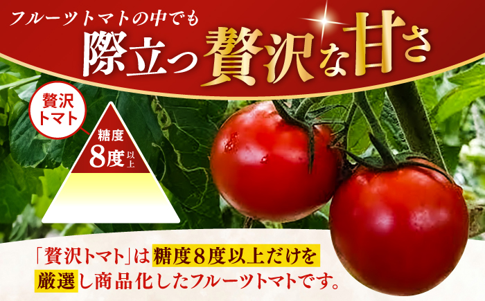 【先行予約】高知県高知市産 贅沢フルーツトマト 約2kg 〈2026年2月から発送〉 【片山農園】[ATCI001]