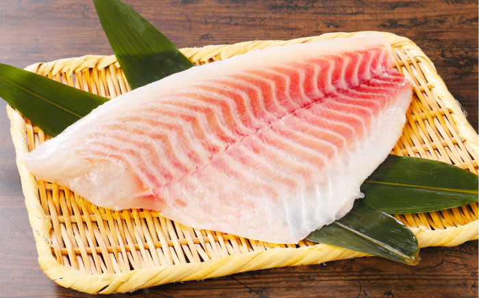 土佐黒潮真鯛・フィレ（皮なし）2枚（約600～800g）【株式会社　羽根】 [ATCK013]