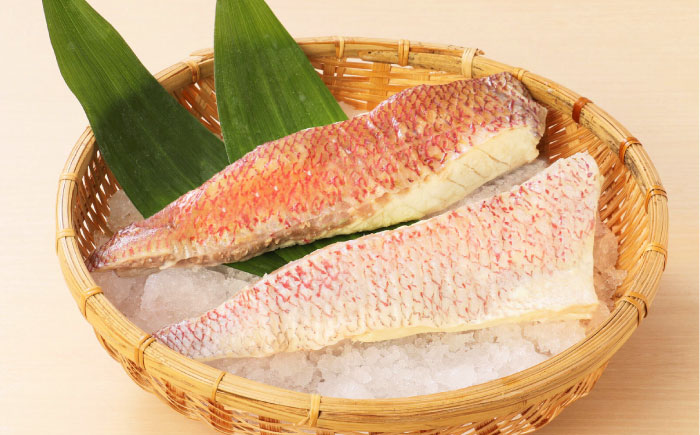 土佐黒潮真鯛の柚子〆　2枚（約500～700g）【株式会社　羽根】 [ATCK016]