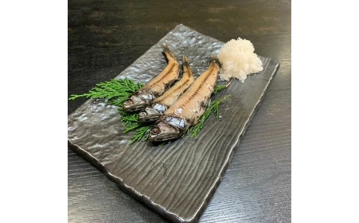 【お試し用】 珍魚 高知産ハダカイワシ干物 約200g×3パック / ハダカイワシ ヤケド 高知グルメ 高知市 深海魚 魚料理 おうちごはん 家飲みおつまみ 珍味 おつまみ 下味付き 【アジアマリン】 [ATCM004]