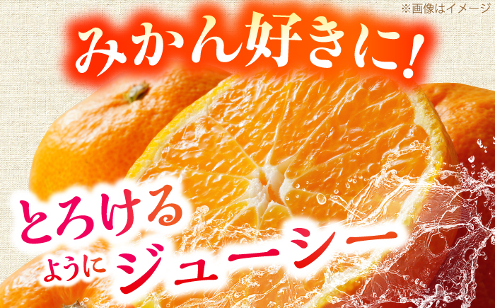 ＜サイズおまかせ＞高知県産温州みかんA級品 約3kg / みかん 柑橘 オレンジ 高知県 温州 【株式会社にしごみ】 [ATEA010]