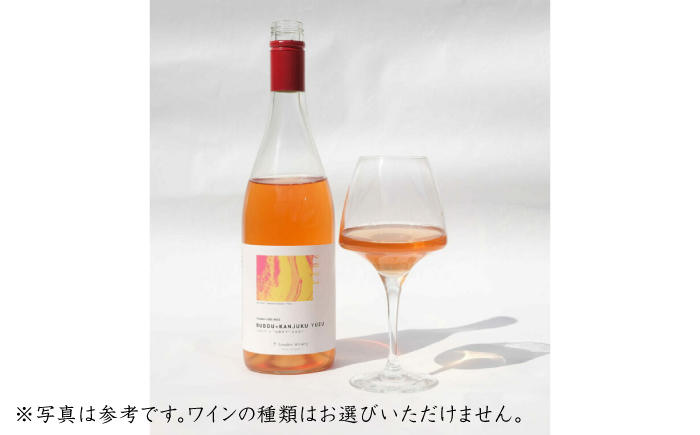 オリジナルチャレンジワイン３本セット（750ｍl×3）【よさ来いワイナリー】 [ATET001]