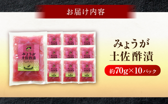 みょうが土佐酢漬け 約70g×10パック 【JapanGinger株式会社】 茗荷 ミョウガ 薬味 やくみ 漬物 ツケモノ シャキシャキ食感 適度な辛み [ATFD002]