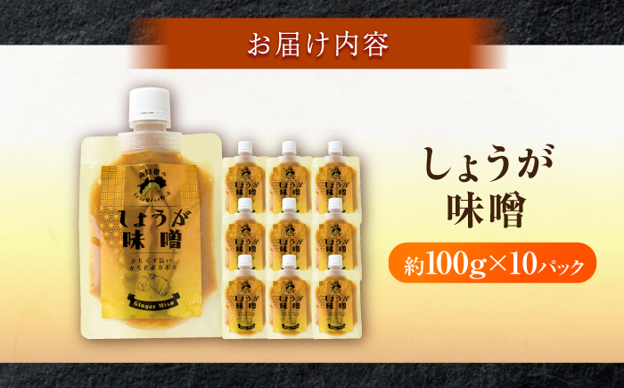 しょうが味噌　約100g×10パック【Japan Ginger 株式会社】 しょうが 国産 高知 調味料 味噌汁 みそ汁 小分け パウチ [ATFD003]