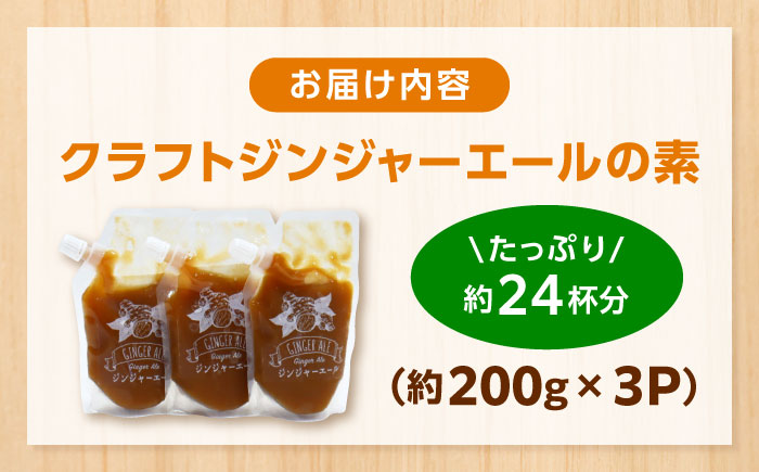 クラフトジンジャエールの素 約200ｇ×3パック / ジンジャーエール 素 シロップ ジンジャーシロップ 炭酸 炭酸割り ソーダ お湯割り ホットジンジャー アレンジ【Japan Ginger 株式会社】 [ATFD005]