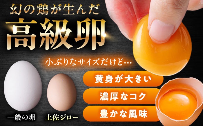 土佐ジロー鶏卵 40個 （10個×4パック）/ 高知 土佐 土佐ジロー 卵 たまご 玉子 鶏卵 卵焼き たまご焼き 玉子焼き 目玉焼き 生卵 卵かけご飯 TKG ギフト 贈り物 【とさやま養鶏場】 [ATHB002]