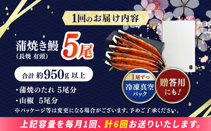【6回定期便】極上国産うなぎ四万十桜 蒲焼き5尾 たっぷり大サイズ / 国産 高知 四万十 うなぎ ウナギ 鰻 蒲焼き うな重 惣菜 贅沢 【有限会社もりた】 [ATHE012]