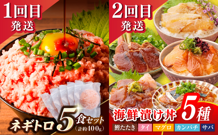 【6回定期便】高知のうまいもん定期便 /カツオ 食べ比べ ネギトロ 土佐和牛 高知 海苔 ミレービスケット ご当地アイス 高知アイス [ATZX023]