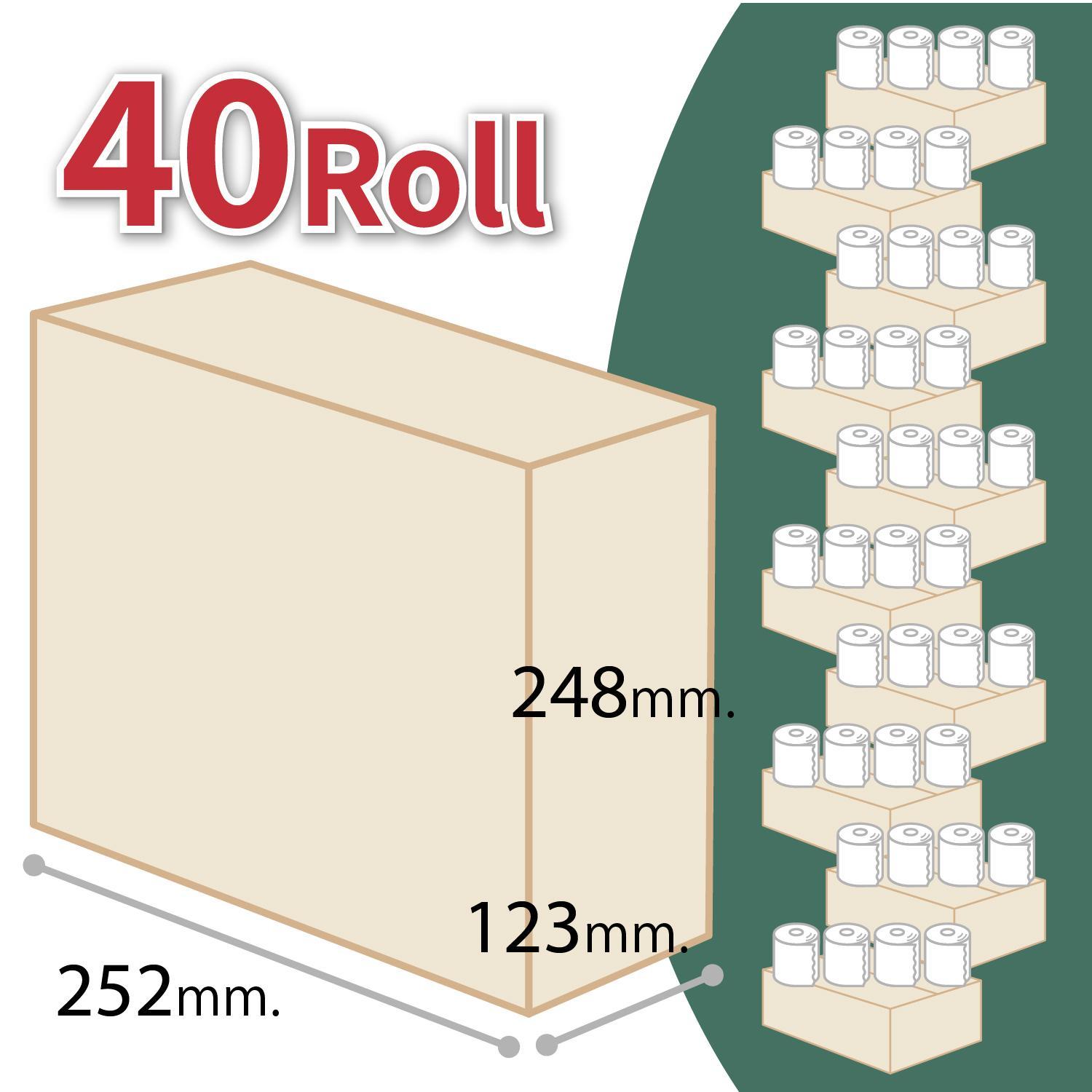 10年保証 備蓄用トイレットペーパー 200m 40ロールBOX (4ロール×10セット) LT-103 / 日用品 トイレットペーパー 消耗品【グレイジア株式会社】[ATAC055]