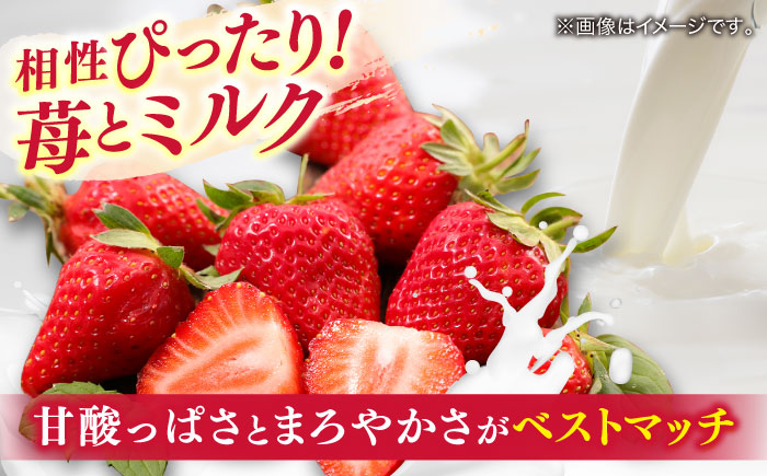 苺とミルクのアイスキャンデー 20本入 / 久保田食品 アイス  アイスクリーム  菓子 / スイーツ アイス アイスクリーム【グレイジア株式会社】[ATAC213]