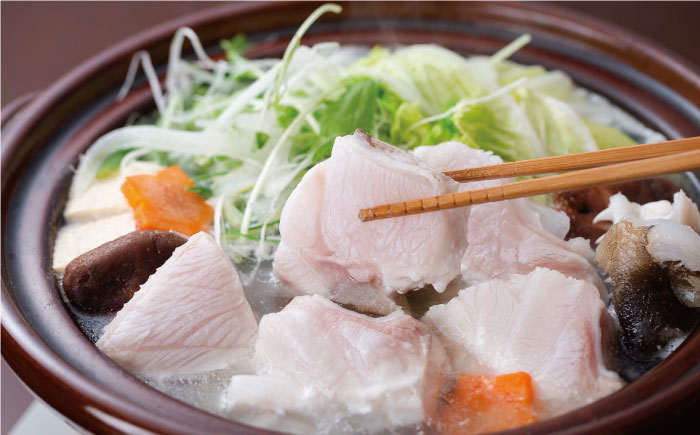 【先行予約】土佐料理司 高知本店　クエ鍋3人前〈2025年11月～発送〉【株式会社土佐料理司】 [ATAD005]