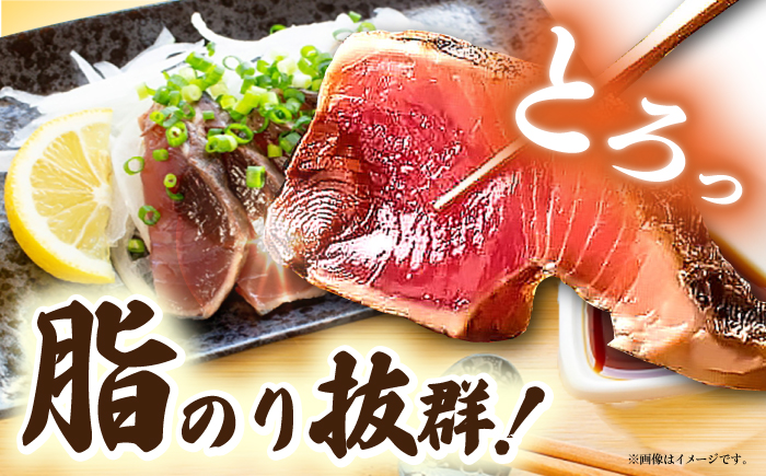 黒潮の赤い宝玉 本場土佐の『鰹の藁やきたたき』1.5節~2節 約700g / 鰹 カツオ かつお 鰹 藁焼き カツオ 高知 ワラ 美味しい 完全藁焼き 多田水産【有限会社 蔵多堂】[ATAE001]