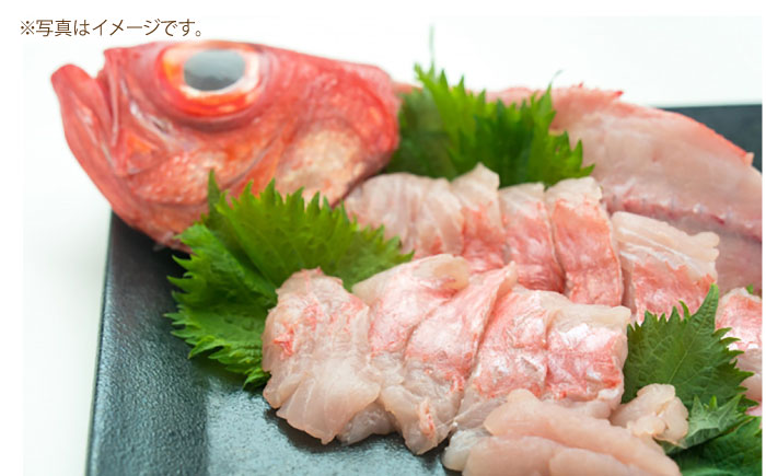 高知県産 天然 金目鯛 約1.3kg～1.5kg 〈2025年2月～発送〉 /内臓・うろこ処理済み 刺身 煮付け たい タイ キンメダイ 【株式会社　四国健商】 [ATAF004]