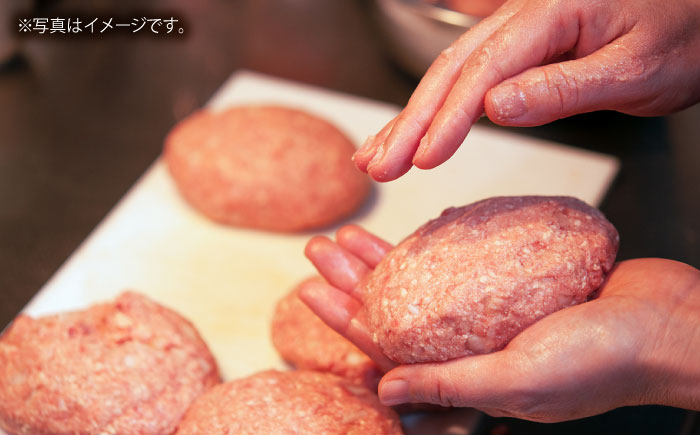 土佐あかうしハンバーグ 150g×5コ 【株式会社 四国健商】 [ATAF016]