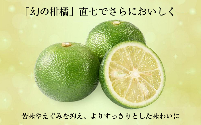 高知くらふと文旦サイダー 約195ml×6本セット 【株式会社 四国健商】 [ATAF028]